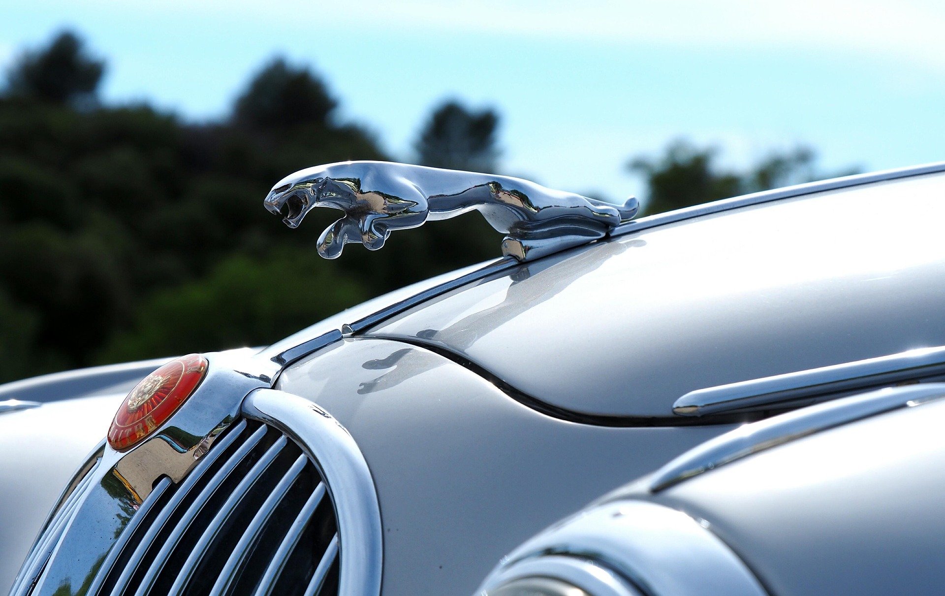 Jaguar Service Penrose